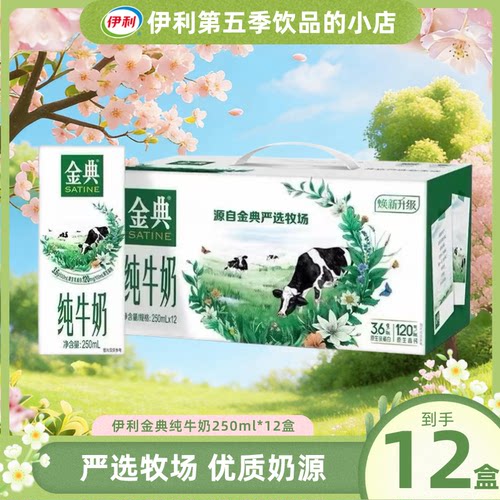 整箱送礼伊利金典纯牛奶250ml*12