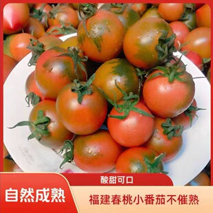 【5.1斤】福建盐碱地正宗春桃柿子西红柿新鲜 酸甜小番茄