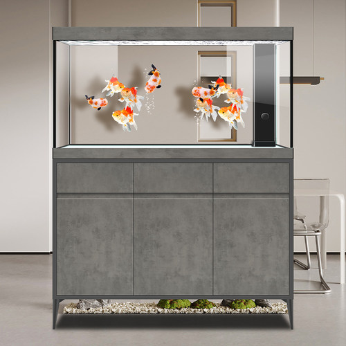 迪顺底部过滤超白玻璃