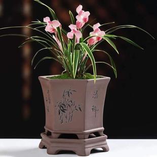 粗陶君子兰透气文竹兰花家用室内专用花盆盆创意紫砂个性 复古特价