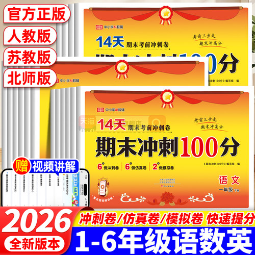 2025春季新版小学期末冲刺100分