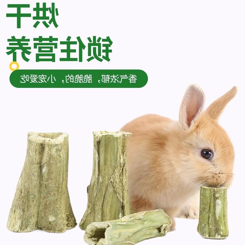 磨牙木瓜墩兔子龙猫荷兰猪兔兔磨牙棒零食烘干木瓜树墩木瓜丝玩具