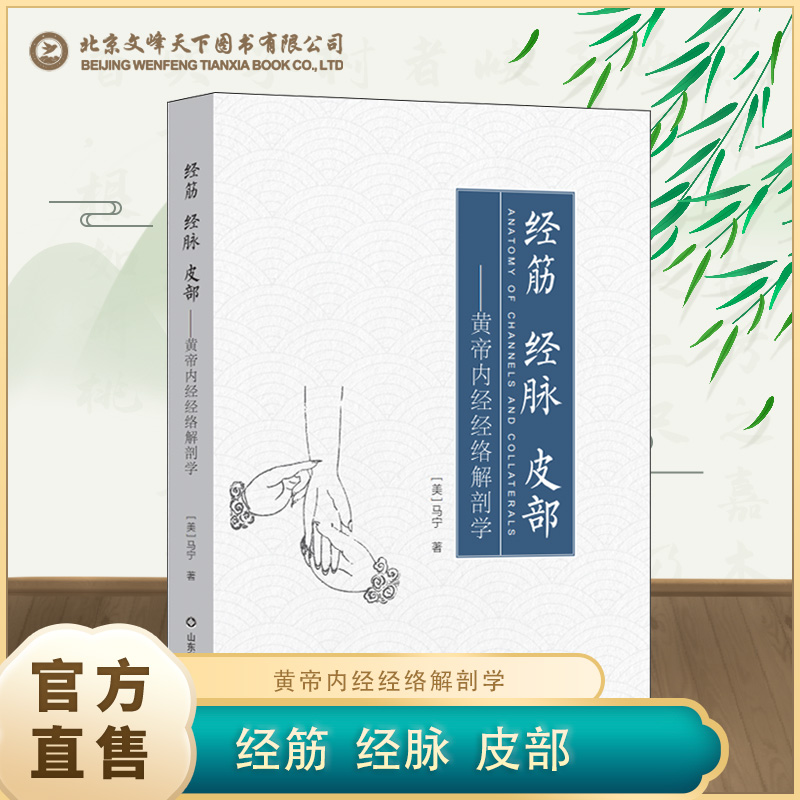 【正版现货】经筋 经脉 皮部黄帝内经经络解剖学 马宁著 中医书籍 深度解析黄帝内经素问 灵枢·经脉解刨 山东科学技术出版社
