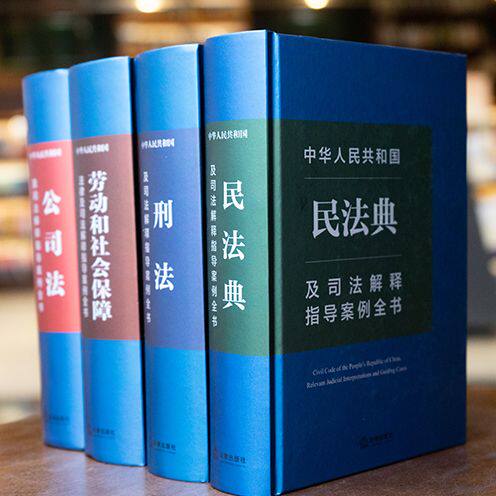 指导案例全书系列：中华人民共和国民法典+刑法+公司法+劳动和社会保障法及司法解释指导案例全书 单本/套装可选