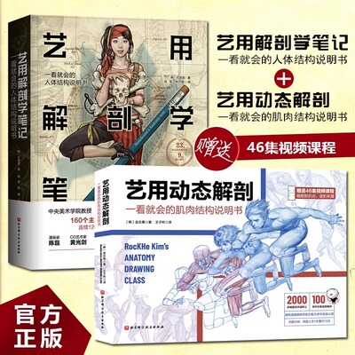 多品任选  正版 艺用动态解剖 赠46集视频课程+艺用解剖学笔记  2两册 人体结构解剖绘画 石政贤 李哲老师推荐北京科学技术出版社