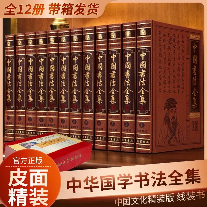 书法大百科全套12册皮面精装 中国书法全集书法百科全书书法技法行书楷书草书隶书篆书碑帖名品鉴赏 中国书法艺术书籍