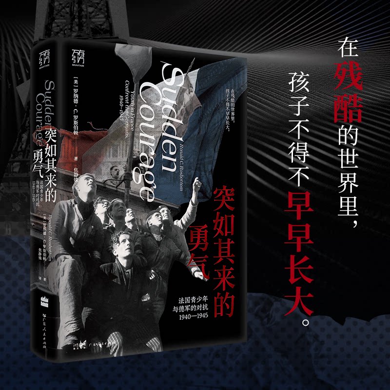 突如其来的勇气万有引力书系法国抵抗运动二战勇气战争历史世界史戴高乐维希法国贝当犹太人在残酷的世界里孩子不得不早早长大