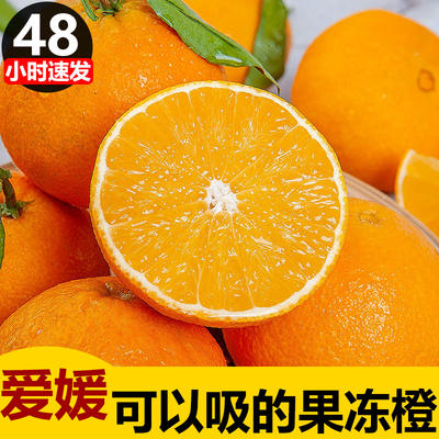 爱媛四川果冻橙5斤农家种植