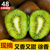 陕西眉县徐香猕猴桃水果新鲜当季 整箱5斤正宗大弥猴桃绿心奇异果