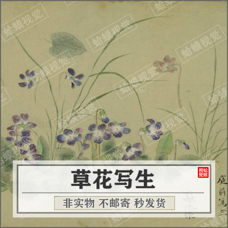 草花写生.狩野融川画.珍藏绘画设计类.PDF电子版美术素材