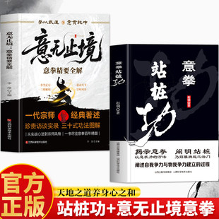正版2册 意拳站桩功 意无止境意拳精要全解 意拳传人赵钢著 健身功法武学经典养生形意拳内家拳大成拳站桩功 王芗斋站桩功拳学教程
