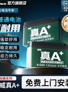 超威真A+石墨烯电动车电池48v60v72v铅酸电瓶原装二三轮雅迪适配
