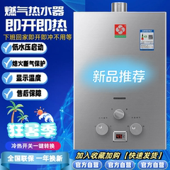燃气热水器家用煤气液化气天然气强排6/8升10升12/16升铜速热恒温