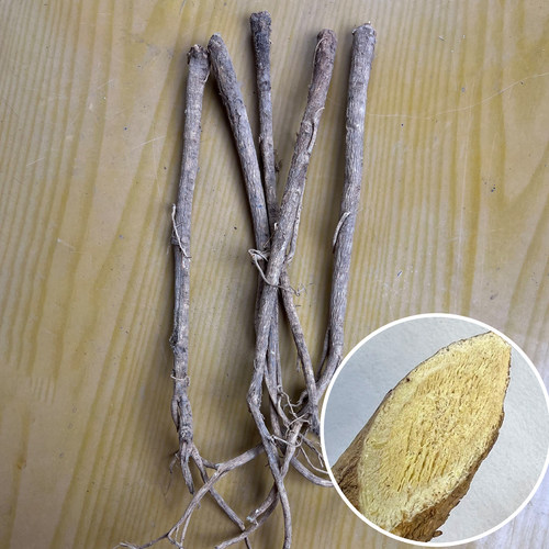 秦岭野生黄芪正品整条