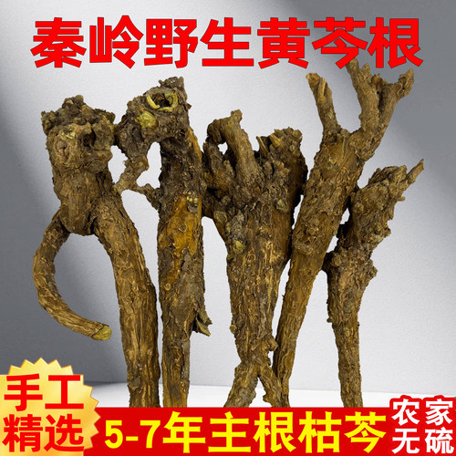 秦岭野生黄芩中药材500g