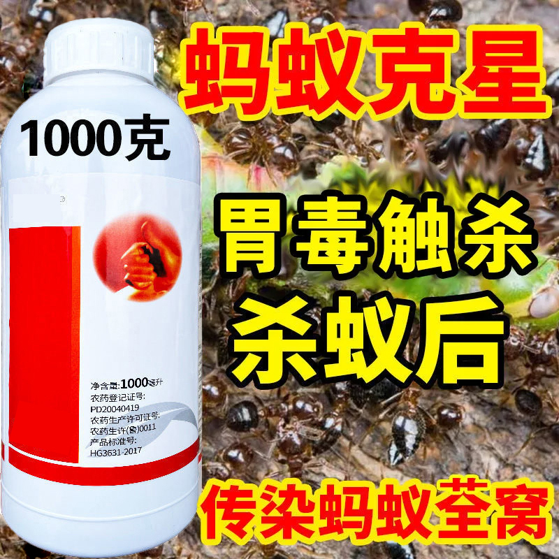 （浓缩型）蚂蚁药触杀胃毒一窝端