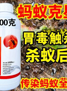 （浓缩型）蚂蚁药触杀胃毒一窝端