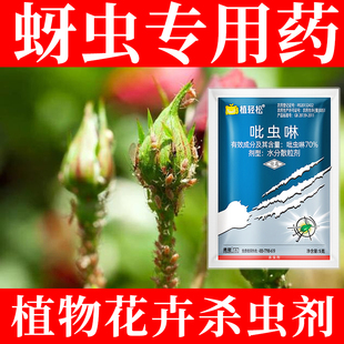 蚜虫专用药吡虫啉杀虫剂农药花卉月季花虫害花卉植物腻虫除虫喷雾
