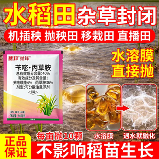 水稻田封闭药球水溶抛球苄嘧丙草胺禾阔双封移栽田直播抛秧机插