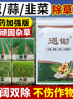 （厂家直销）葱韭菜蒜专用除草剂