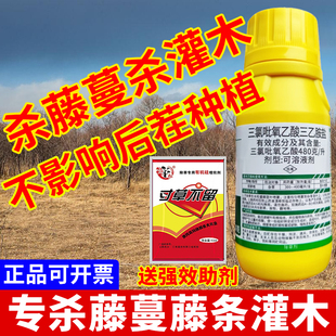 三氯吡氧乙酸除草烂根剂杀藤蔓藤条灌木水花生爬山虎络石藤小飞蓬