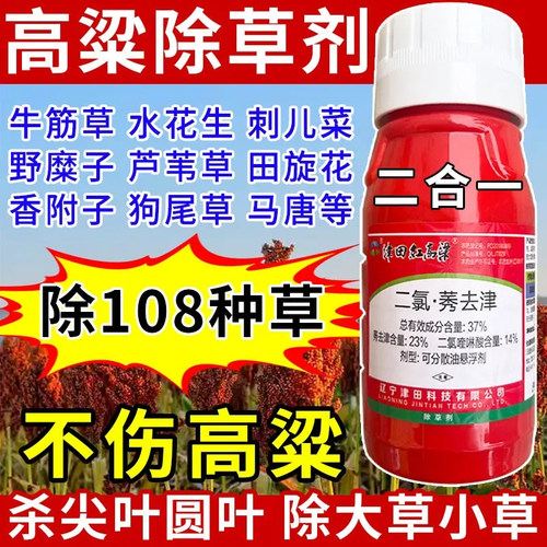 高粱苗后除草剂专用二氯莠去津除草封草不伤高粱厂家正品批发农药