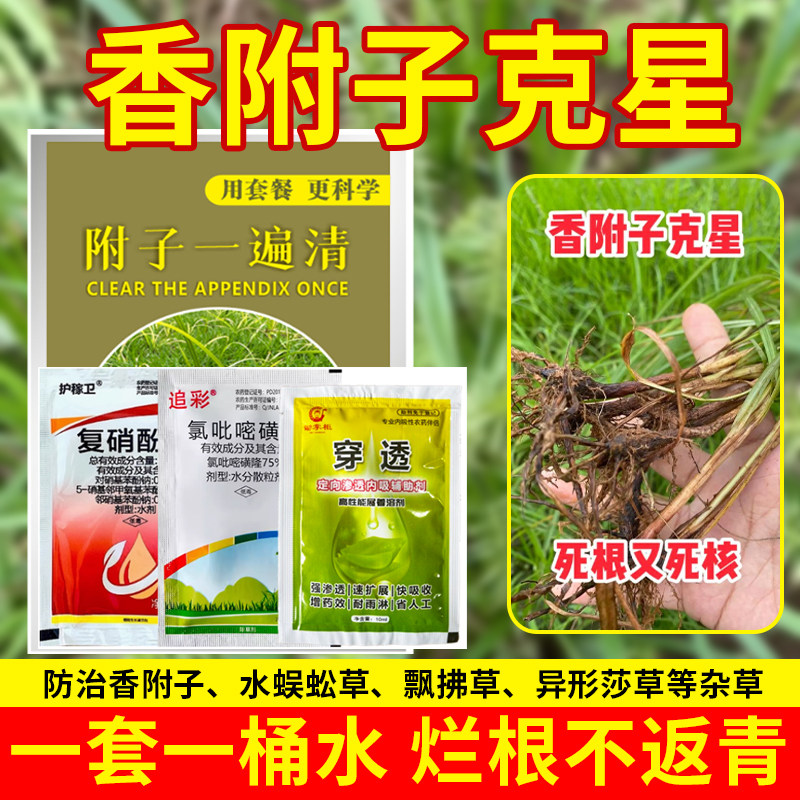 （正品推荐）香附子烂根套装