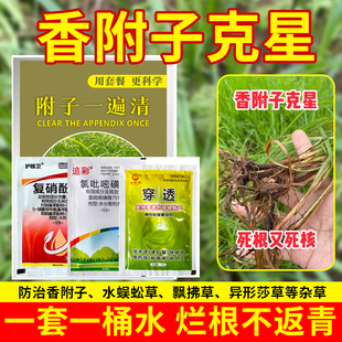 香附子克星除草烂根剂氯吡嘧磺隆香附净水稻甘蔗杀香附子专用克星