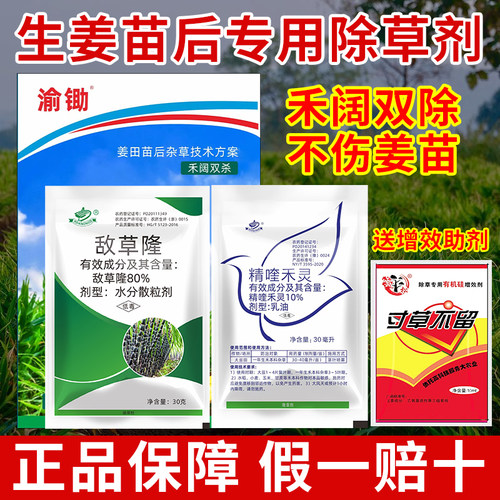 （好物推荐）生姜除草剂不伤姜苗