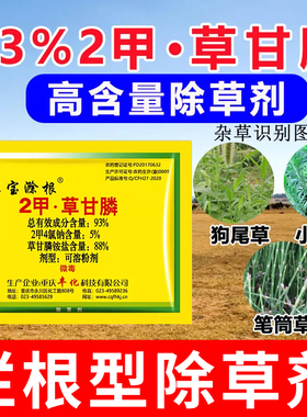 93%二甲草甘磷2甲草高含量除草剂烂根型草甘膦铵盐节节笔筒小飞蓬