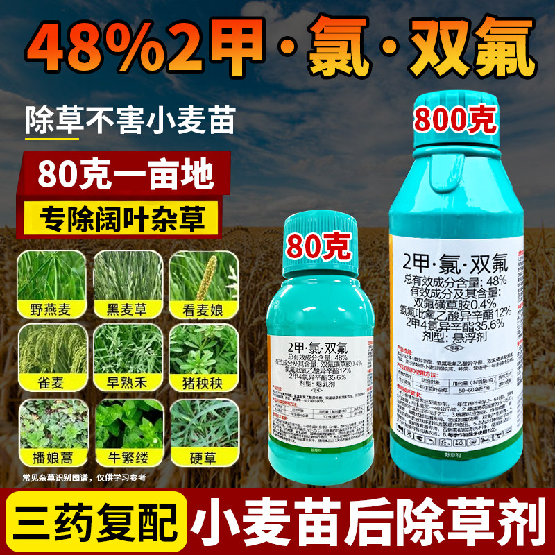 小麦除草剂2甲氯双氟皇竹草黑麦草甜象草巨菌草牧草除草剂除阔叶