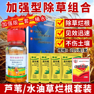 (强效型)芦苇除草烂根剂抗性芦苇草水游草克星烂根药氟吡甲禾灵