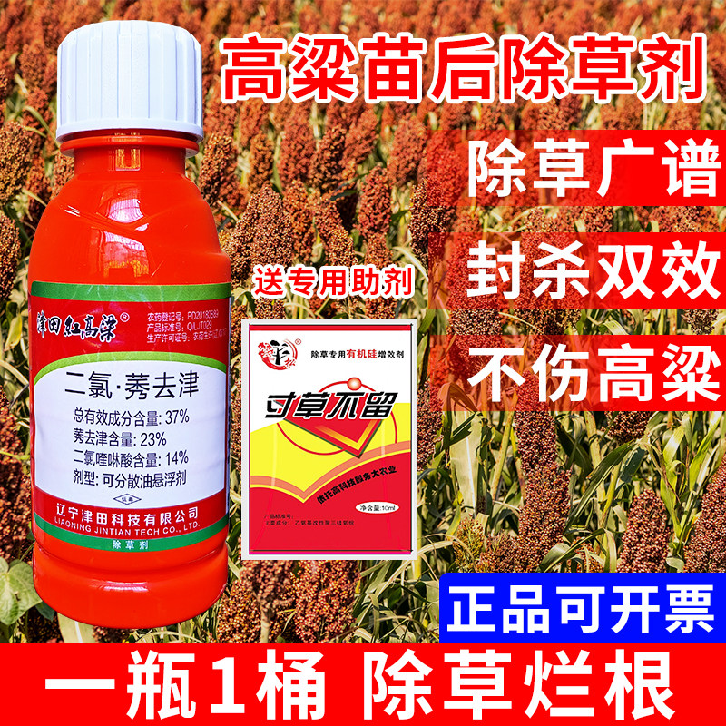 高粱除草剂高粱地专用除草剂除草封草不伤高粱二氯喹啉酸莠去津药