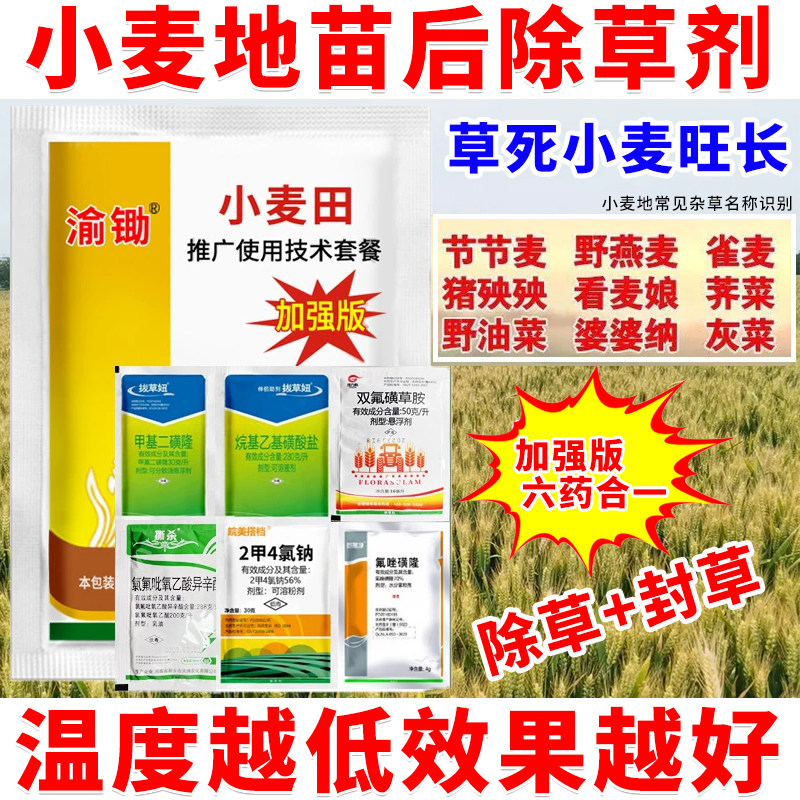 【官方推荐】小麦苗后专用除草剂