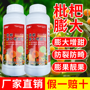 枇杷膨大增甜剂膨大素防裂果枇杷膨果着色促花座果枇杷树专用肥料