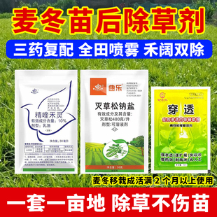 麦冬专用除草剂玉龙草兰花三七沿阶草防除杂草阔叶圆叶除草药杂草
