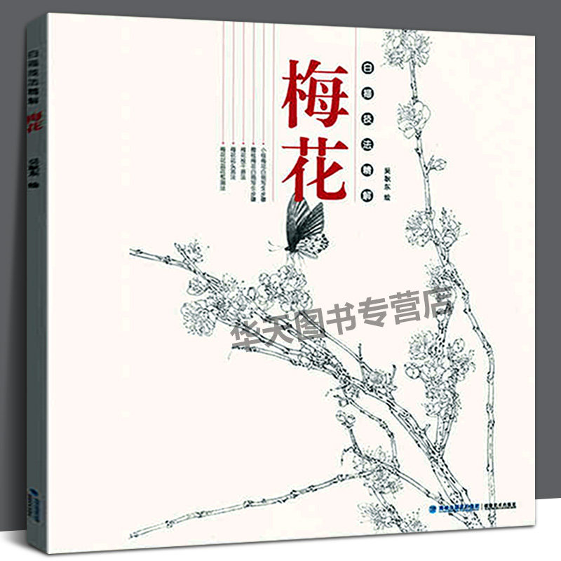 梅花 白描技法精解 中国画花草植物梅花工笔画线描写生白描绘画底稿