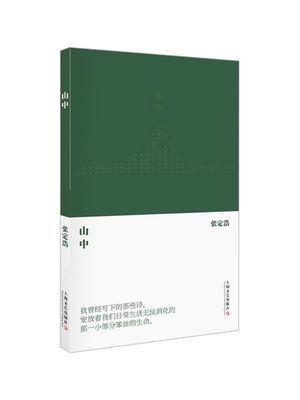 【正版】山中 张定浩第二部诗集，写感情生活，写女儿的成长，也写那些滋养过自己的诗人与哲人 上海文艺出版社