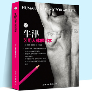 正版包邮 牛津艺用人体解剖学人体结构骨骼肌肉表面结构绘画教学造型美术艺考教程教材书理解人体形态结构运动学人体解刨学教程书