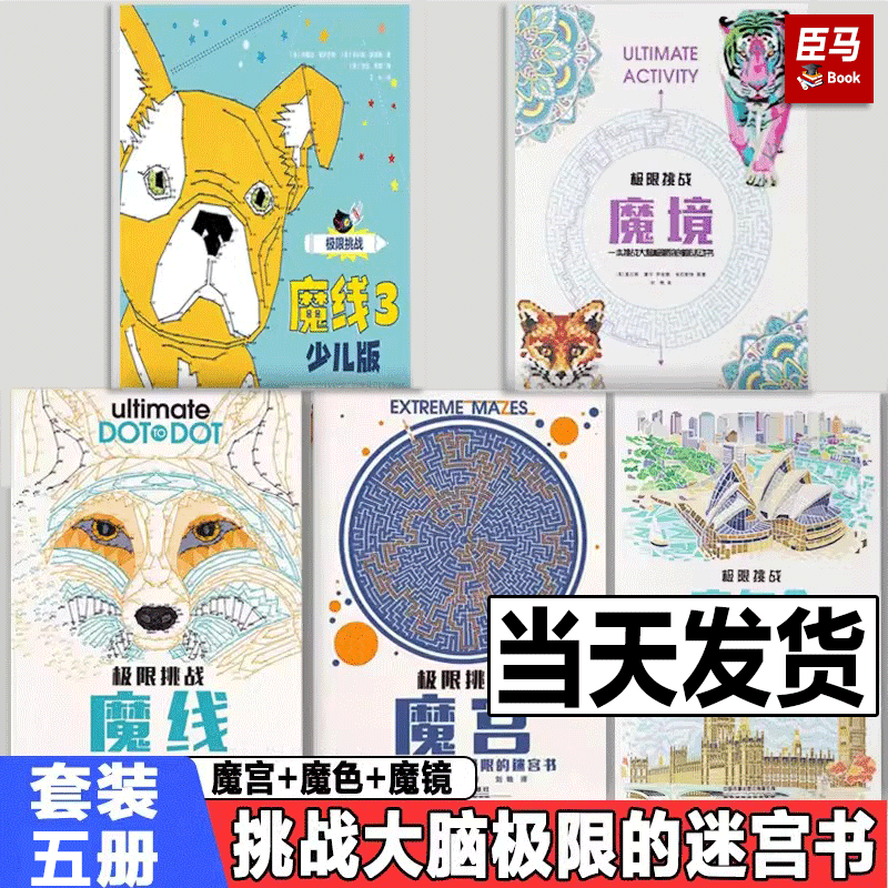 全套5册 极限挑战魔宫1+魔宫2+魔线1魔线2+魔色1魔色2+魔境 于湛推荐 迷宫书儿童专注力 极限挑战涂色连线书