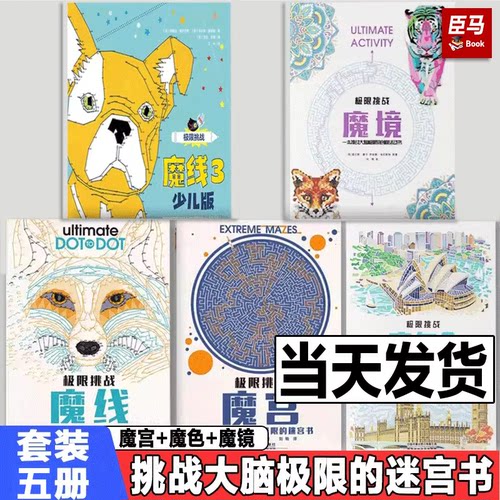 全套5册 极限挑战魔宫1+魔宫2+魔线1魔线2+魔色1魔色2+魔境 于湛推荐 迷宫书儿童专注力 极限挑战涂色连线书