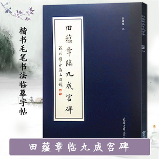 田蕴章临九成宫碑 技法学 笔简牍软笔成年初学者书法放大高清竹简木板书字体临摹赏析碑帖篆刻拓印本练字帖精选 天津大学出版社