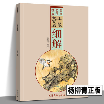 工笔太湖石细解 国画实用技法 工笔画底稿白描画稿画谱临摹画册画集作品集工笔白描太湖石细解国画入门初学技法教程书