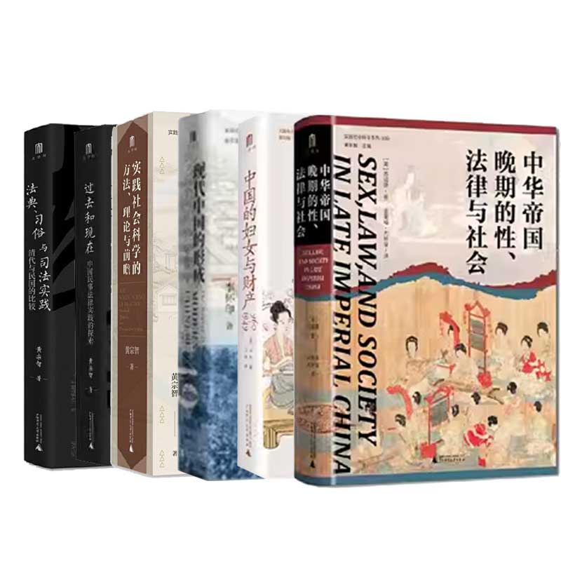 实践社会科学系列 法典、习俗与司法实践:清代与民国的比较 过去和现在:中国民事法律实践的探索 中国的妇女与财产(960—1949)