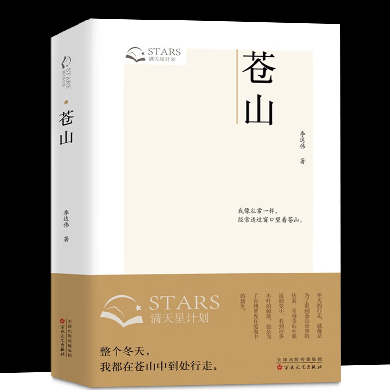 正版现货 苍山（满天星计划，我像往常一样，经常透过窗口望着苍山。） 李达伟 9787530686539