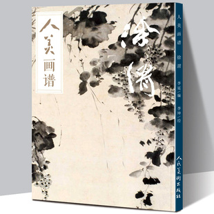 【赠教学视频】人美画谱 徐渭 高清大开本 国画山水花鸟画入门 国画临摹底稿范本中国画技法 徐渭全集徐渭山水画集画册页国画教程