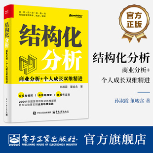 个人成长双维精进 七步打造结构化分析和闭环式 解决问题系统方法论讲解书籍 官方旗舰店 等 商业分析 孙淑霞 著 结构化分析
