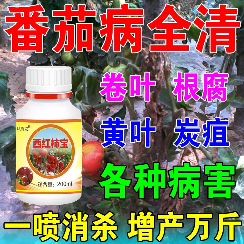 番茄西红柿病毒病专用药病菌清脐腐黄卷叶灰霉炭疽防裂果根腐全治