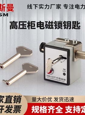 户内电磁锁钥匙 DSN-BMY/BMZ/AMY/AMZ高压柜锁通用高品质金属高亮