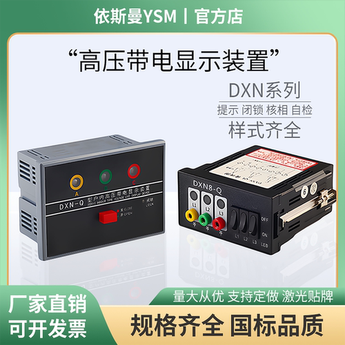 户内高压10KV带电显示器CG5-10Q闭锁装置DXN-T核相DXN8D-Q自检L-6
